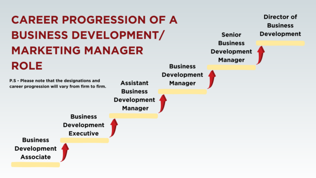 business development manager job description in education sector